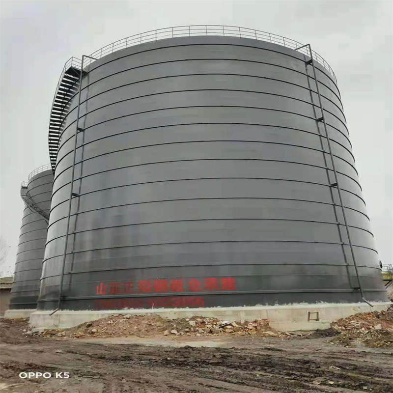 金乡3万吨大型钢板库